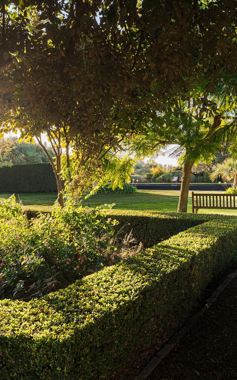 Domus Olivae: Exteriör, Trädgård, Utomhus