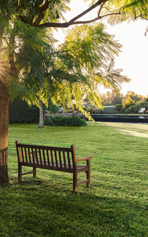 Domus Olivae: Exteriör, Trädgård, Utomhus