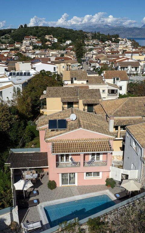 Doctor'S House: slå samman, Visningar