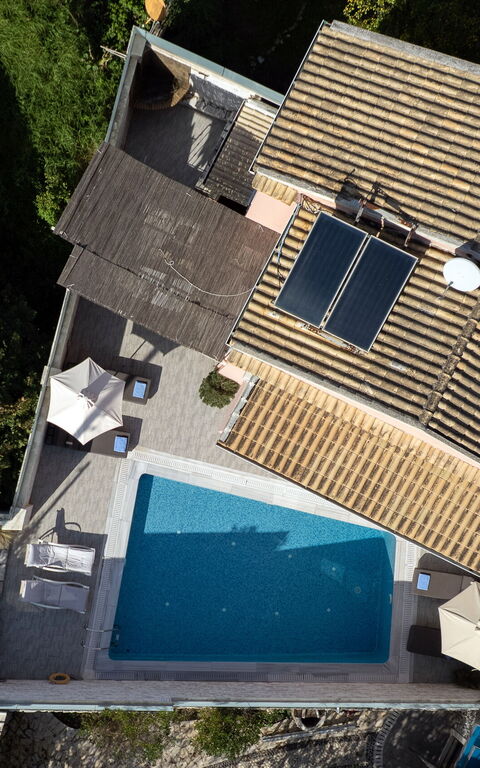 Doctor'S House: slå samman, Visningar