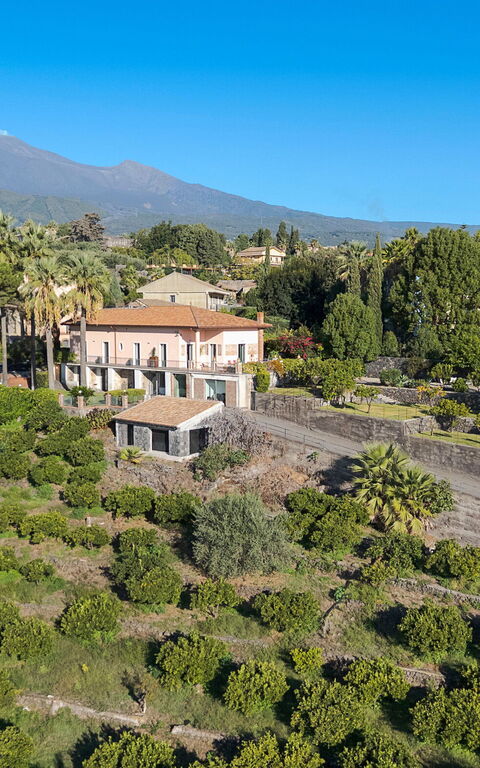 Villa Agrume: Visningar