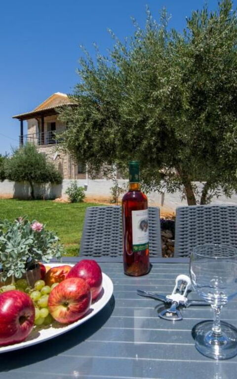 Magnolia: Exteriör, Trädgård, Utomhus