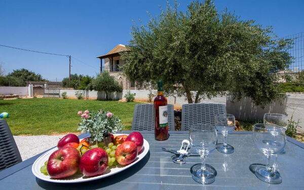 Magnolia: Exteriör, Trädgård, Utomhus