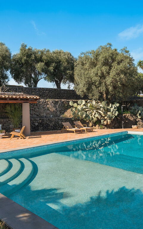 Villa Continella: Exteriör, Trädgård, Utomhus