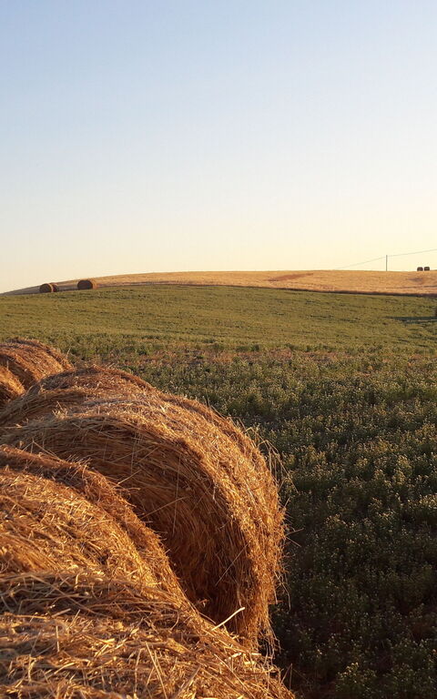 Podere Peteglia: Visningar