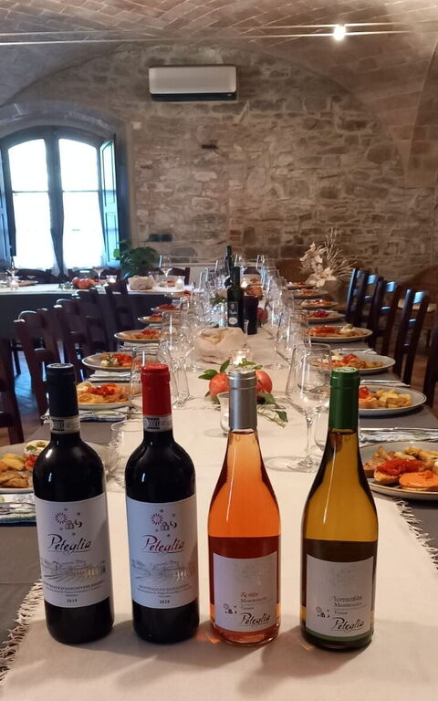 Podere Peteglia: Aktiviteter