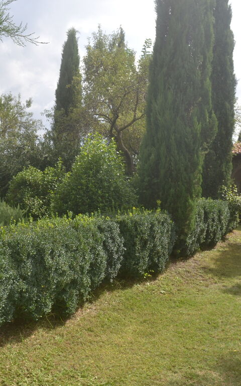 Podere Peteglia: Exteriör, Trädgård, Utomhus