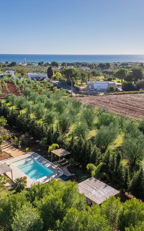 Villa Renedda: slå samman, Visningar