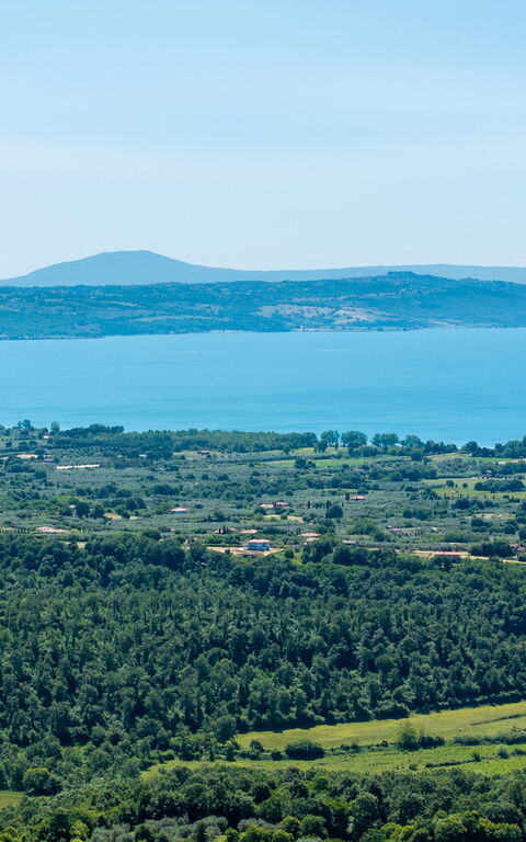 Tenuta Poggio Guiano: Visningar