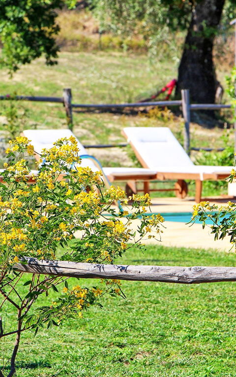 Villa Civita: Trädgård