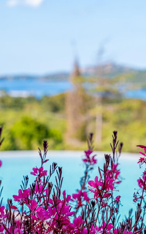 Villa Zephyros: slå samman, Visningar