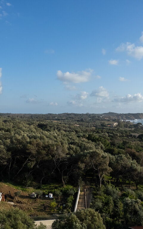 Villa Elais: Utomhus, Visningar