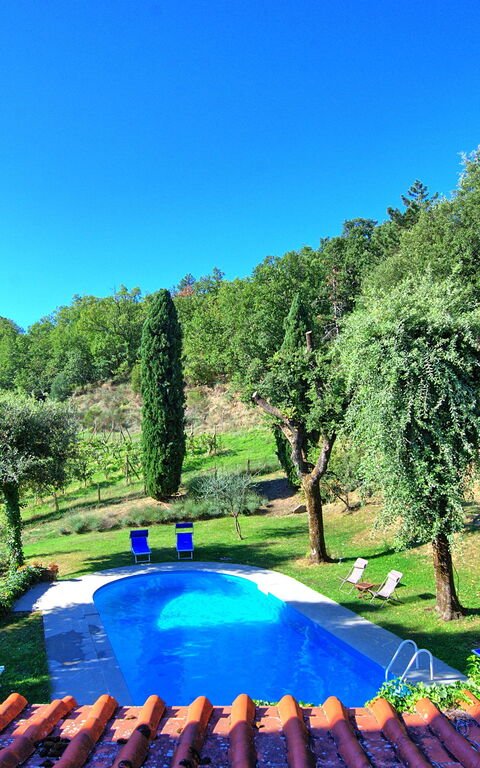 Villa Ulivacci: slå samman