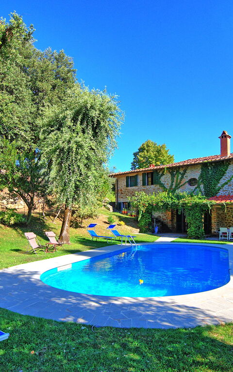 Villa Ulivacci: Exteriör, slå samman, Sommar, Trädgård, Utomhus