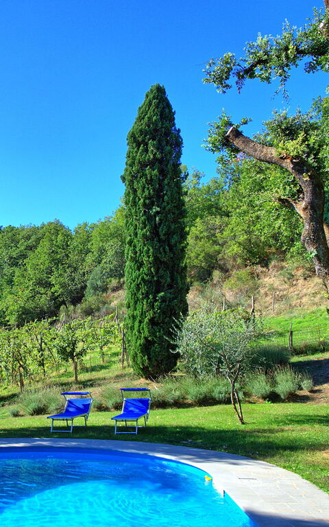 Villa Ulivacci: slå samman