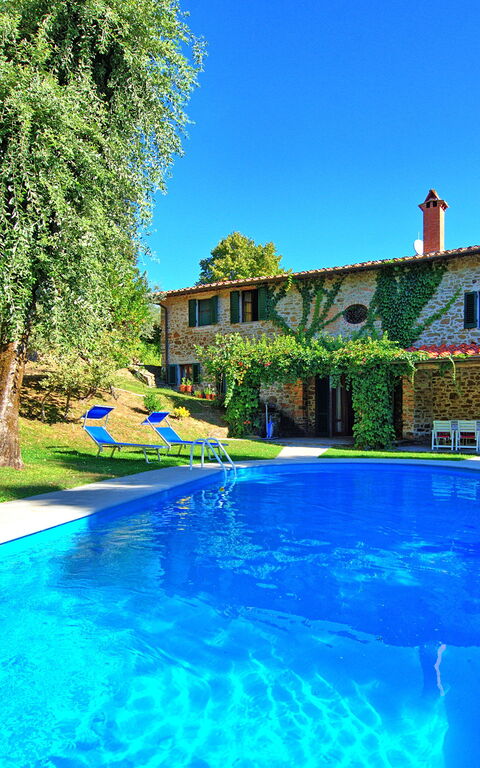 Villa Ulivacci: slå samman, Trädgård