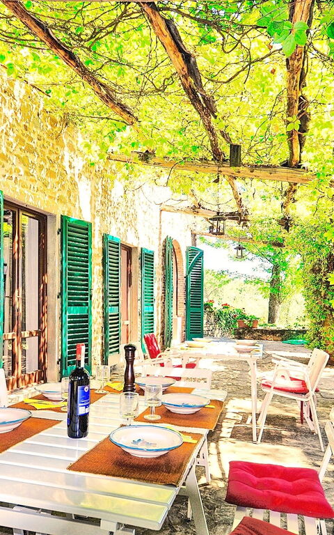 Villa Ulivacci: Utomhus