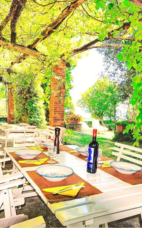 Villa Ulivacci: Utomhus