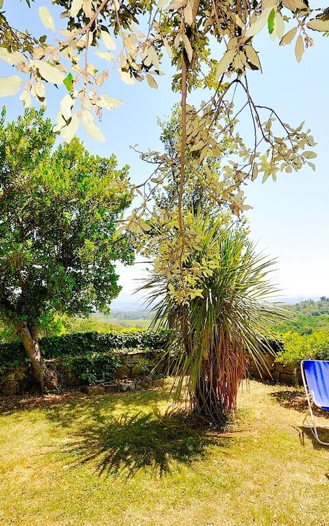 Villa Ulivacci: Trädgård