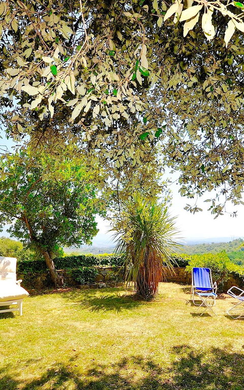 Villa Ulivacci: Trädgård