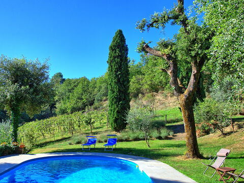 Villa Ulivacci