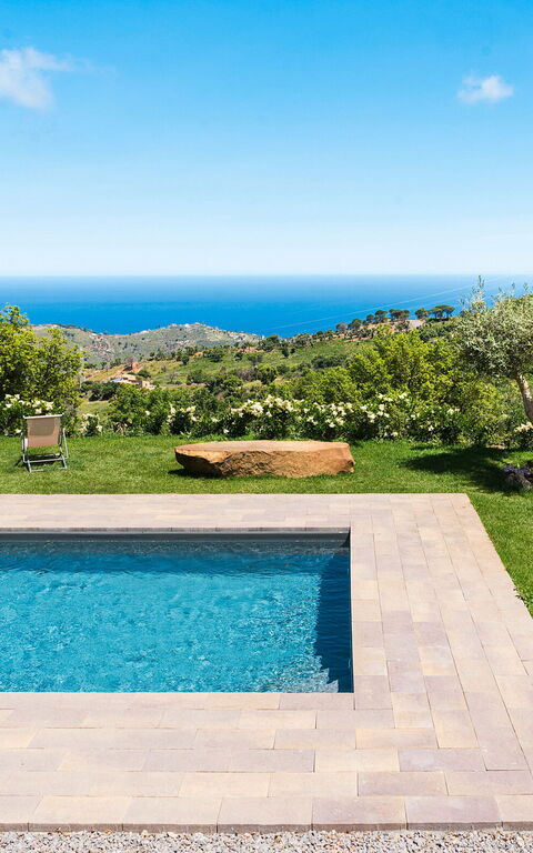 Casita: Exteriör, slå samman, Trädgård, Utomhus