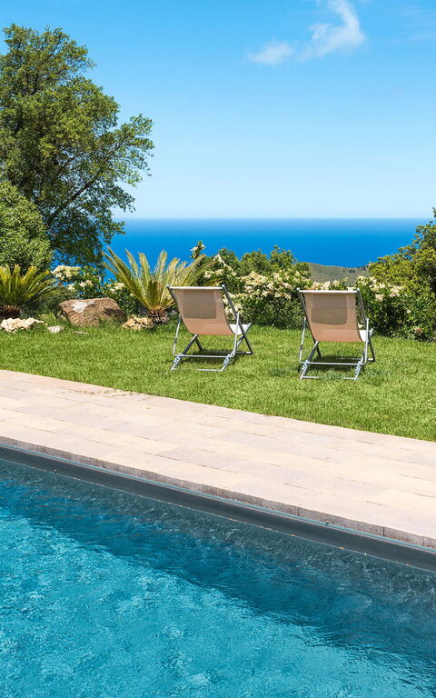 Casita: Exteriör, slå samman, Trädgård, Utomhus