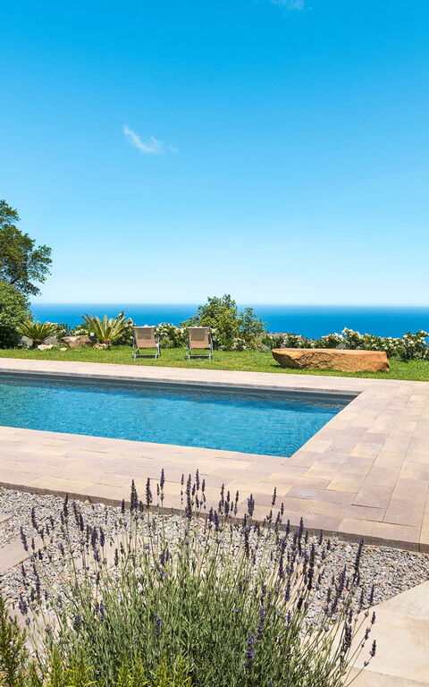 Casita: Exteriör, slå samman, Trädgård, Utomhus