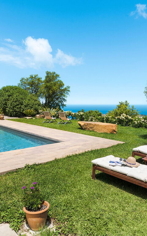 Casita: Exteriör, slå samman, Trädgård, Utomhus