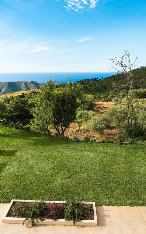 Casita: Exteriör, Trädgård, Utomhus