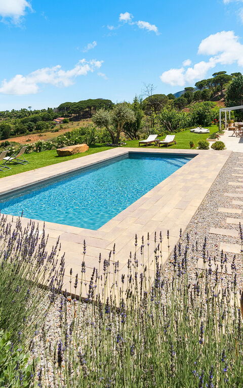 Casita: Exteriör, slå samman, Trädgård, Utomhus