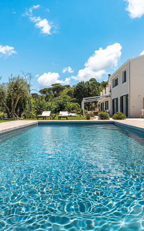 Casita: Exteriör, slå samman, Trädgård, Utomhus