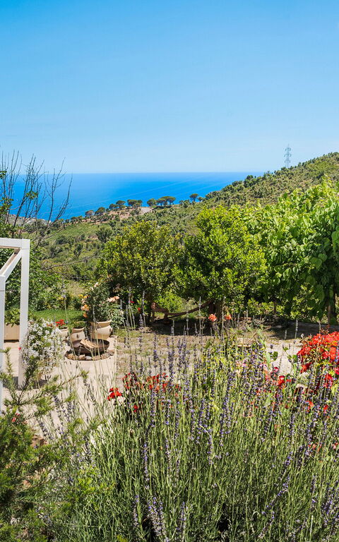 Casita: Balkong / terrass / uteplats, Exteriör, Utomhus