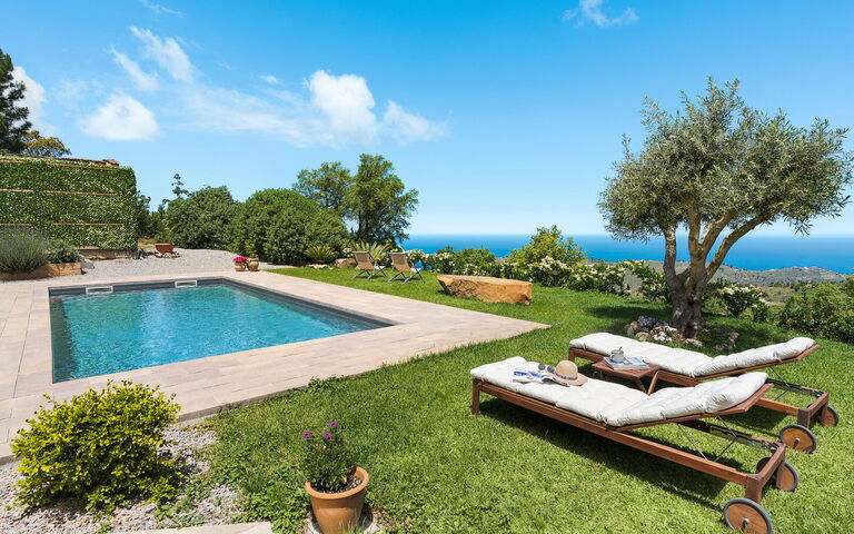 Casita: Exteriör, slå samman, Trädgård, Utomhus