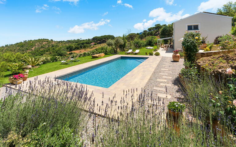 Casita: Exteriör, slå samman, Trädgård, Utomhus