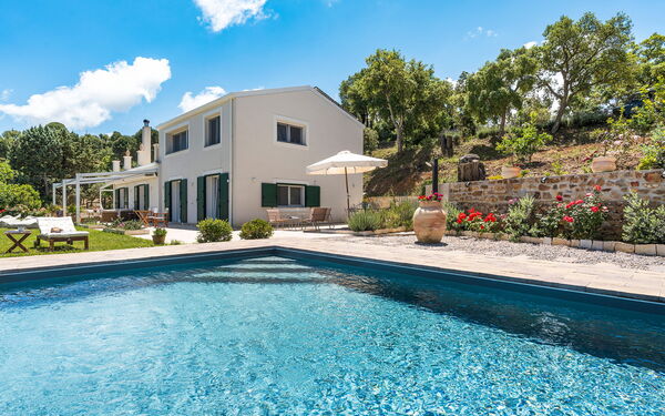 Casita: Exteriör, slå samman, Trädgård, Utomhus