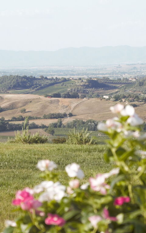 Villa Icario: Exteriör, Trädgård, Utomhus, Visningar