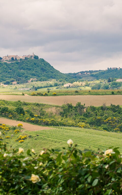 Villa Icario: Visningar