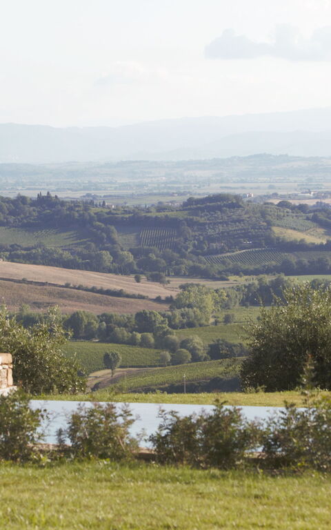 Villa Icario: Exteriör, slå samman, Trädgård, Utomhus, Visningar