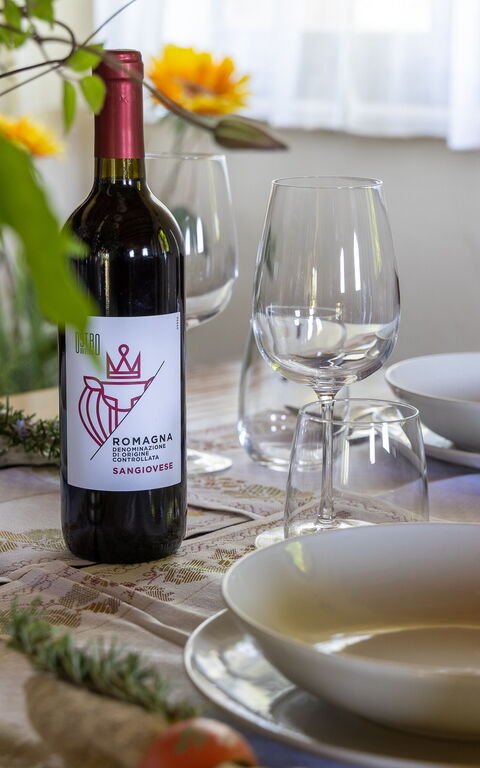 Villa Belvedere San Bartolo: Rumsinformation