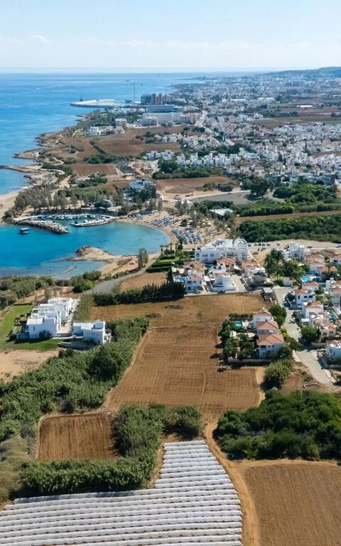 Ayia Triada Beach Gardens: Visningar