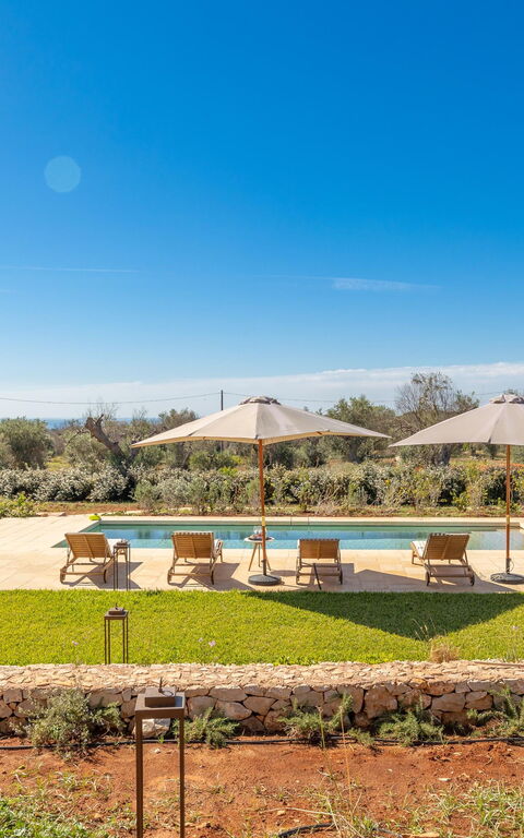 Villa del Cedro: Exteriör, Utomhus
