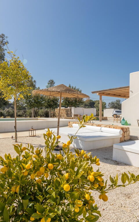 Villa Panacea: Exteriör, Utomhus