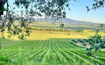 Foto lämnats av gäst på Villa Chiugi