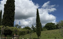 Foto lämnats av gäst på Villa Lo Scoiattolo