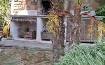 Foto lämnats av gäst på Casale di Cozzile