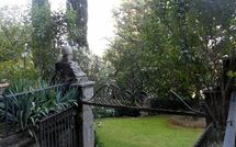 Foto lämnats av gäst på Montegufoni