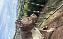 Foto lämnats av gäst på Villa Roberto