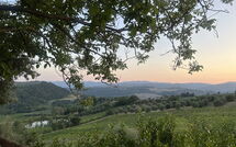 Foto lämnats av gäst på San Guido