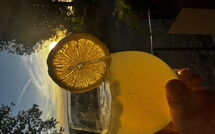 Foto lämnats av gäst på San Carlo